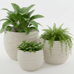 Load image into Gallery viewer, Design Magnesium Vase
