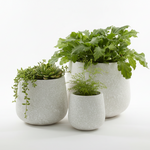 Load image into Gallery viewer, Magnesium White Vase
