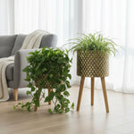Load image into Gallery viewer, Gold Tripod Planter
