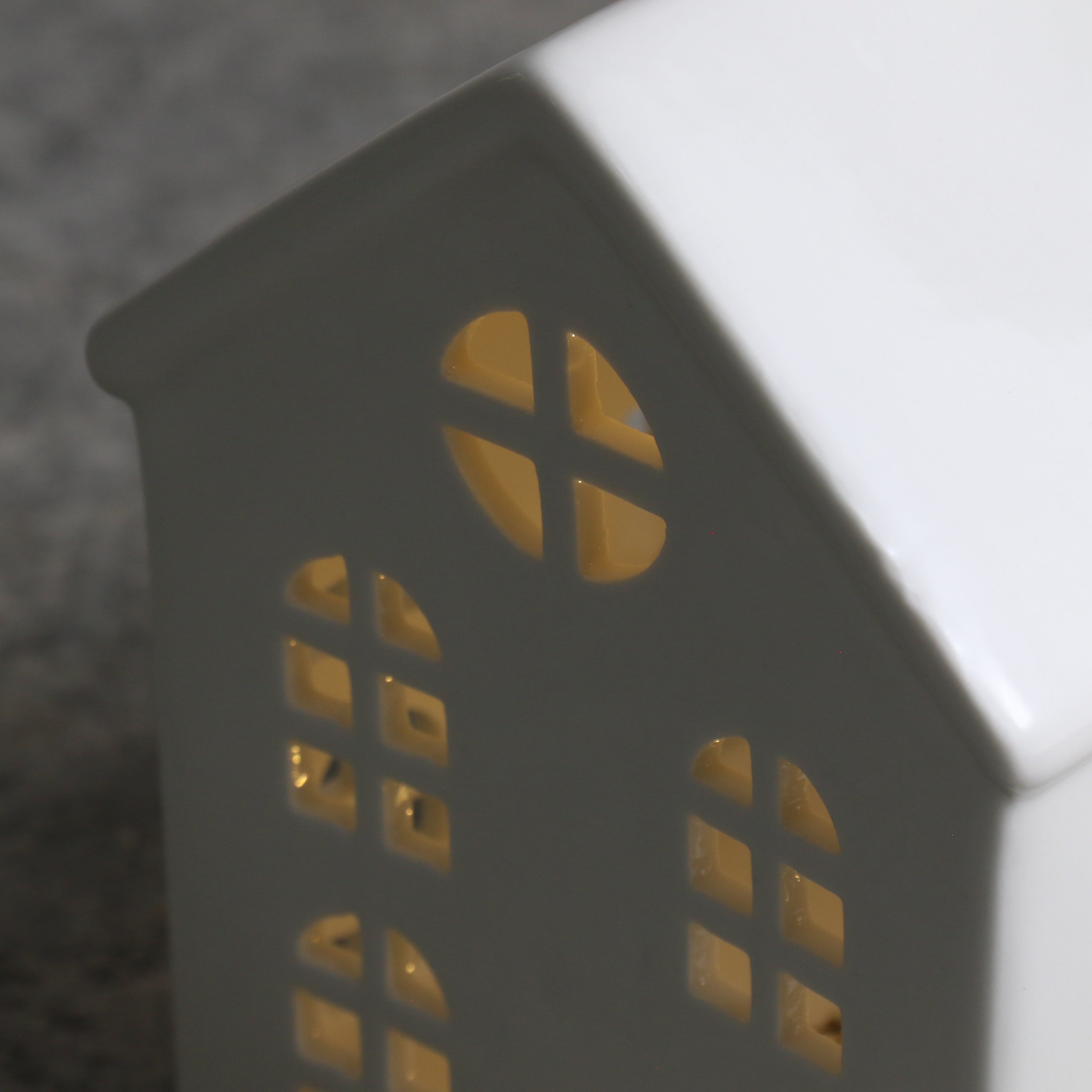 White LED House L