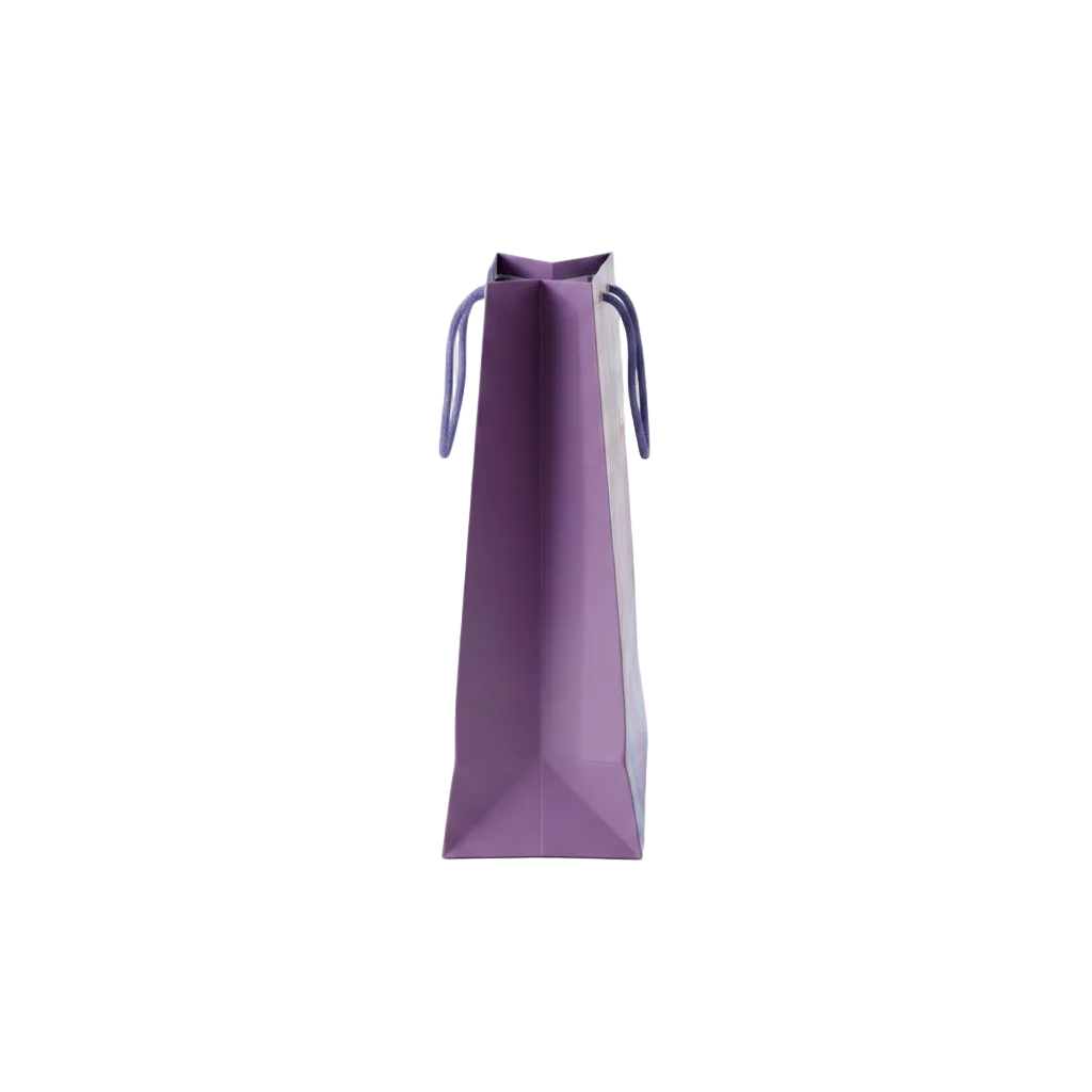 Gift Bag
