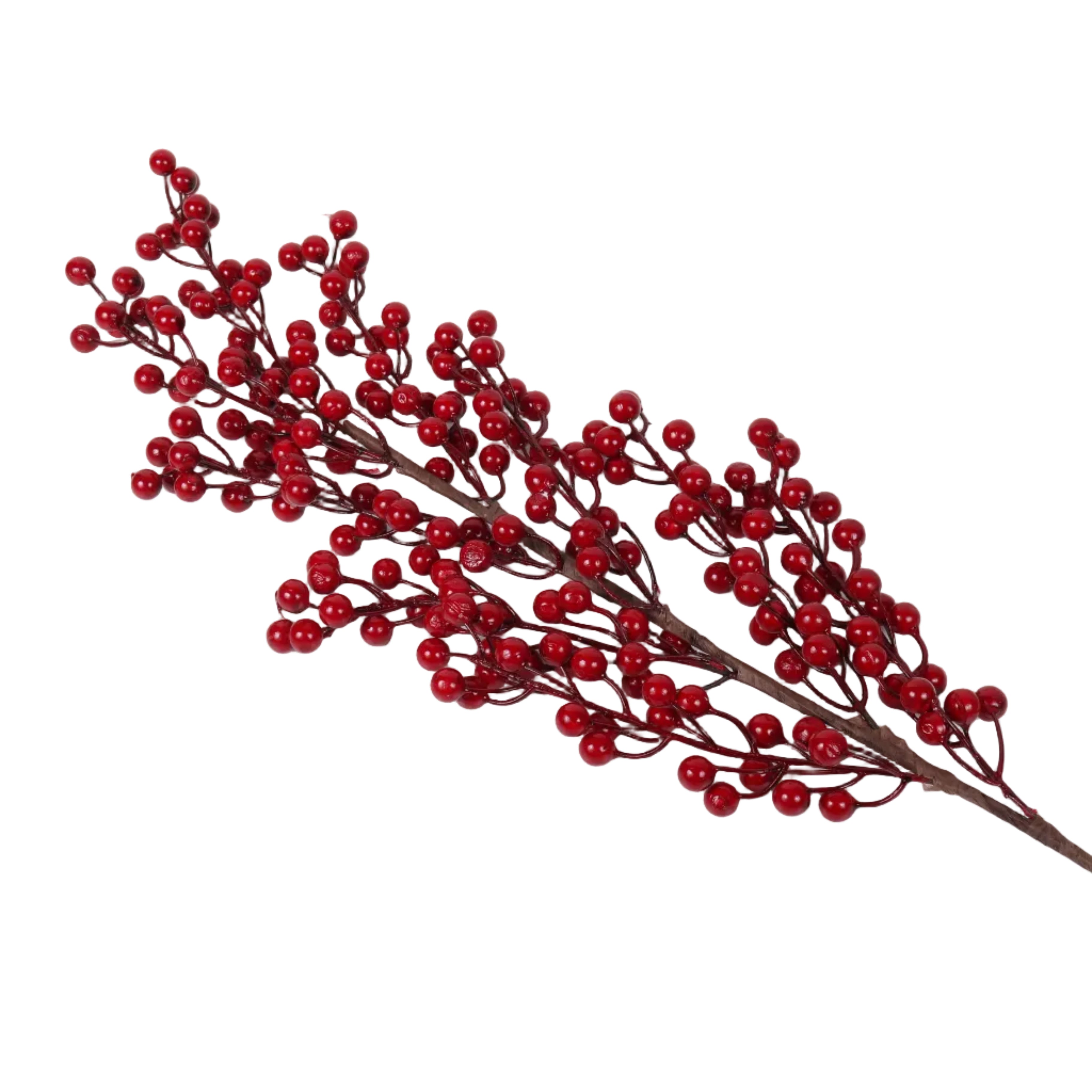 Tall Cranberry Spray
