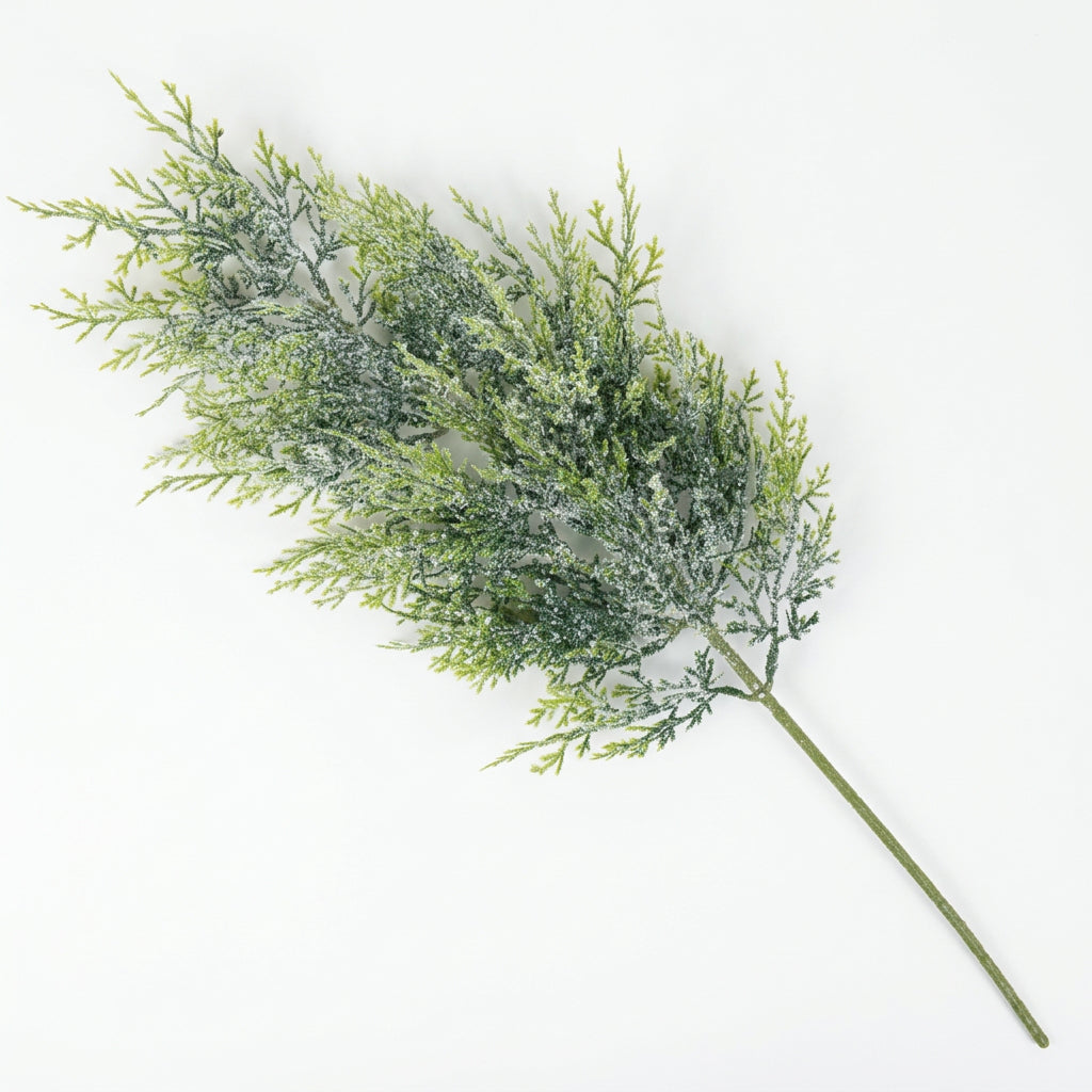Evergreen Meadow Branch