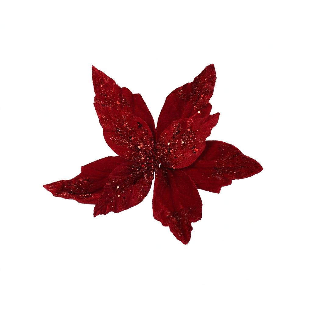 Crimson Velvet Poinsettia