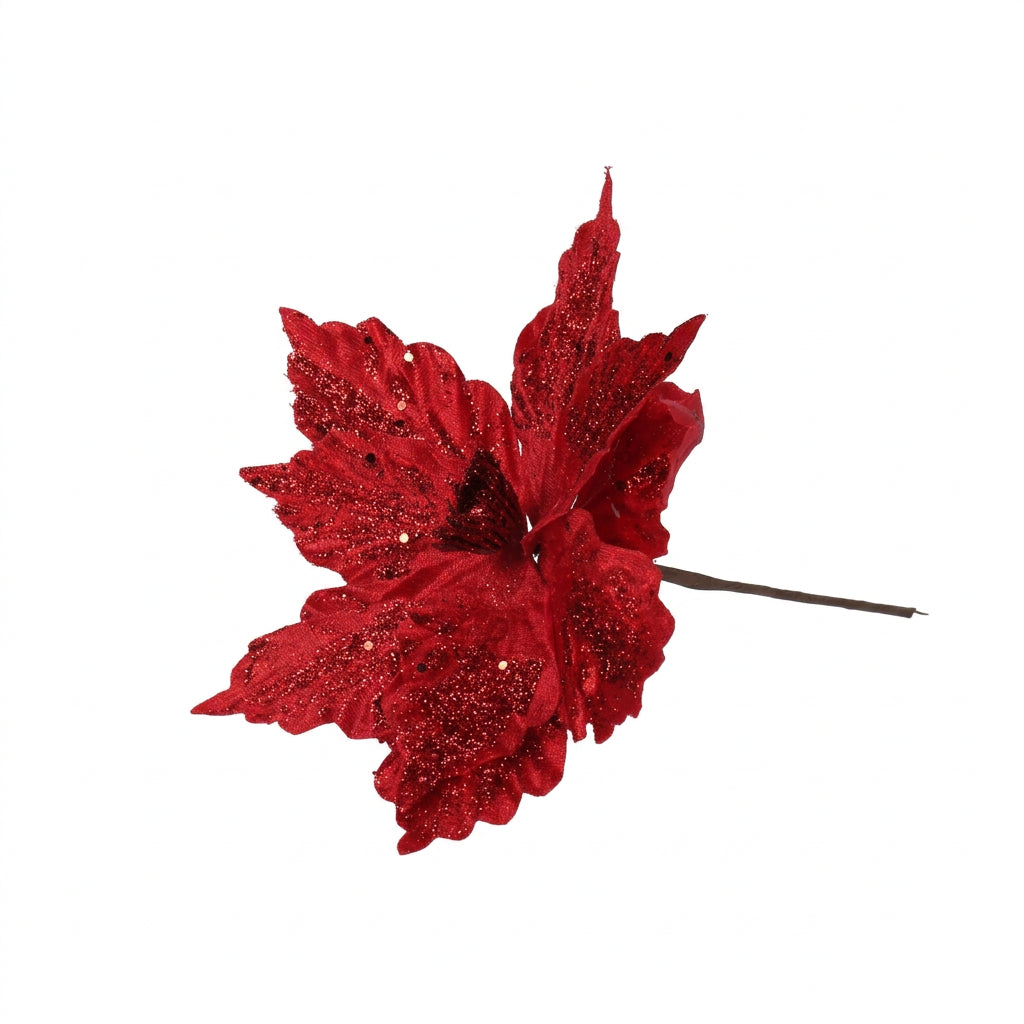 Scarlet Veined Poinsettia