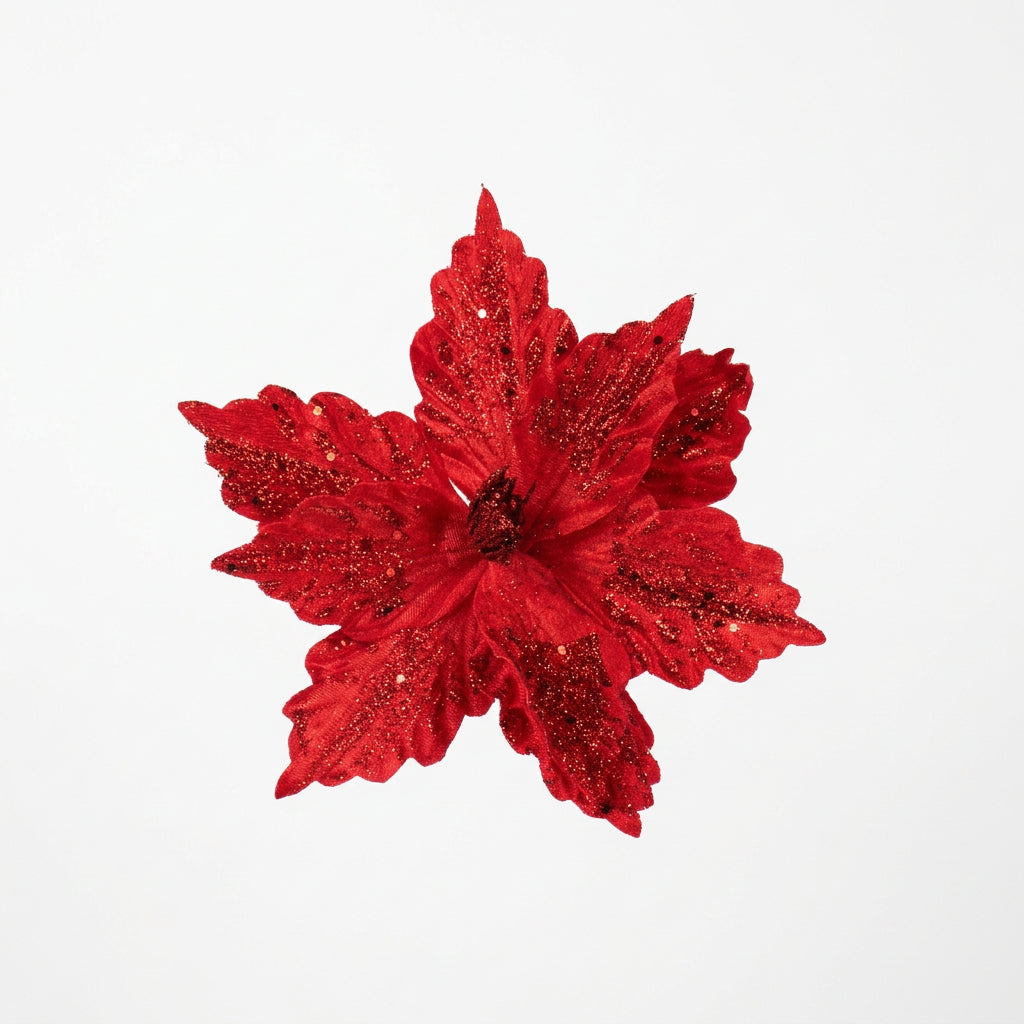 Scarlet Veined Poinsettia