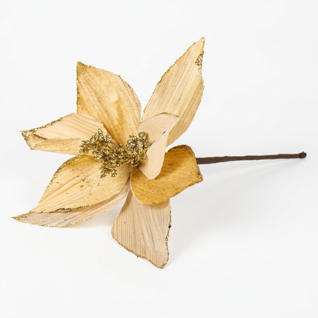 Champagne Poinsettia Star