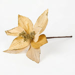 Load image into Gallery viewer, Champagne Poinsettia Star
