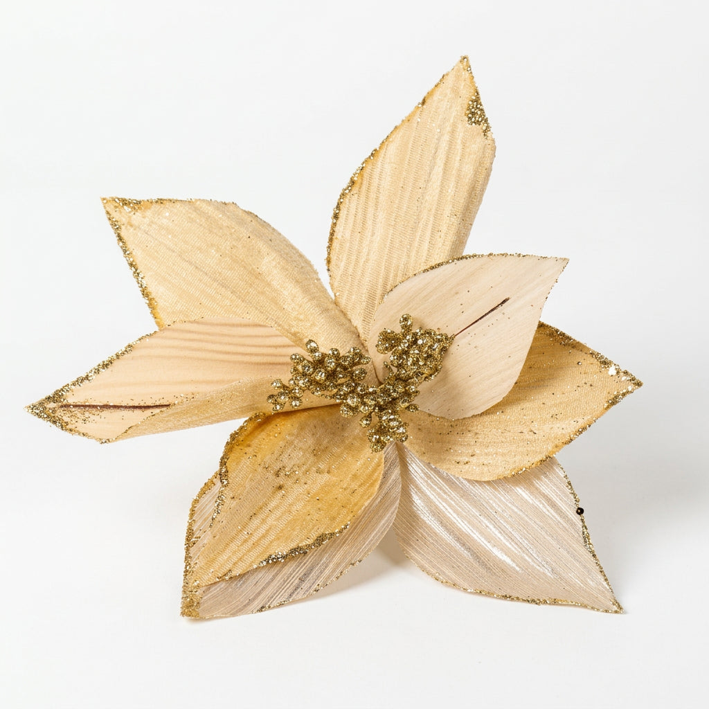 Champagne Poinsettia Star