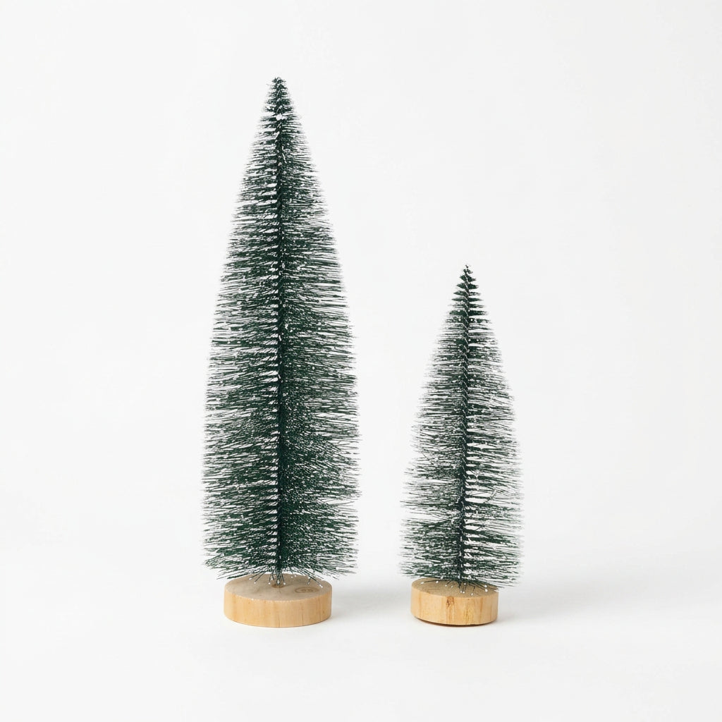 Snowtip Forest Bottlebrush Tree