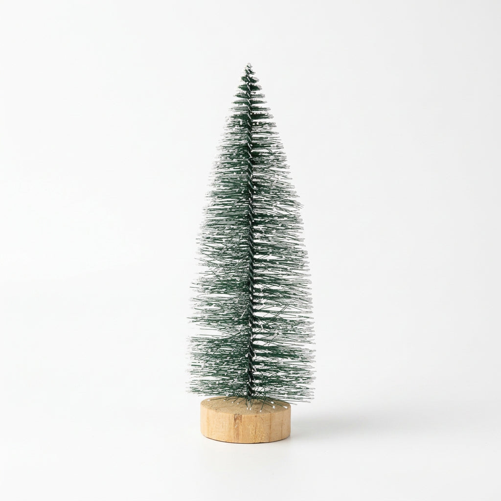Snowtip Forest Bottlebrush Tree