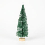 Snowtip Forest Bottlebrush Tree