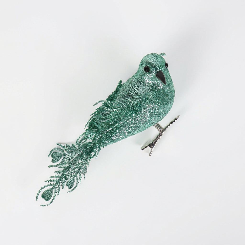 Jewel Feather Bird