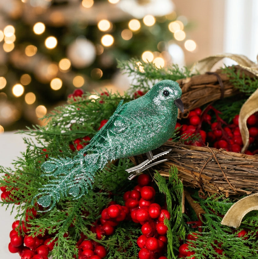 Jewel Feather Bird