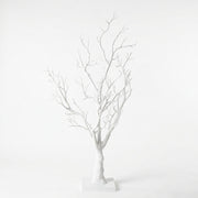Snowwhite Twig Tree