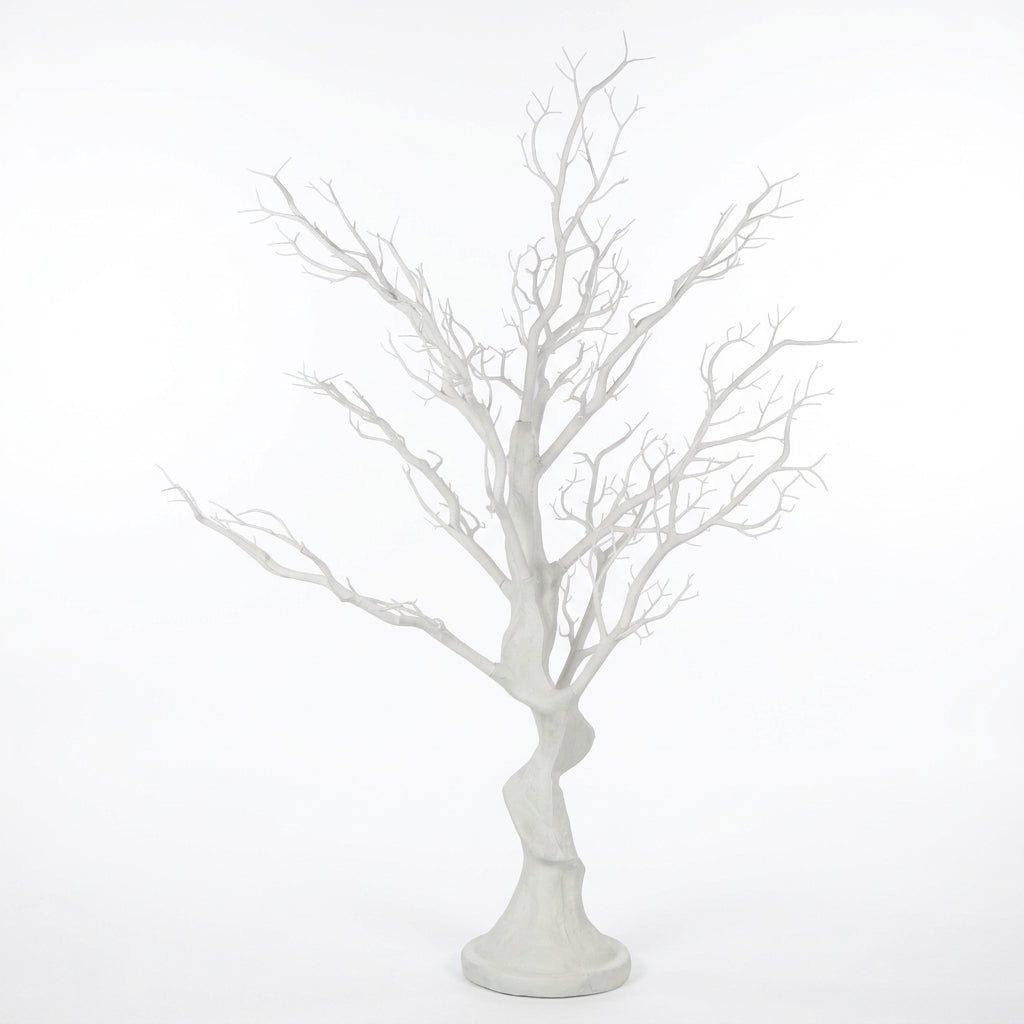 Winterwhite Branch Tree