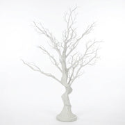 Winterwhite Branch Tree