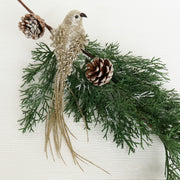 Long Tail Bird