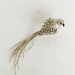 Load image into Gallery viewer, Long Tail Bird
