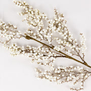White & Gold Berry  Branch -BAF027