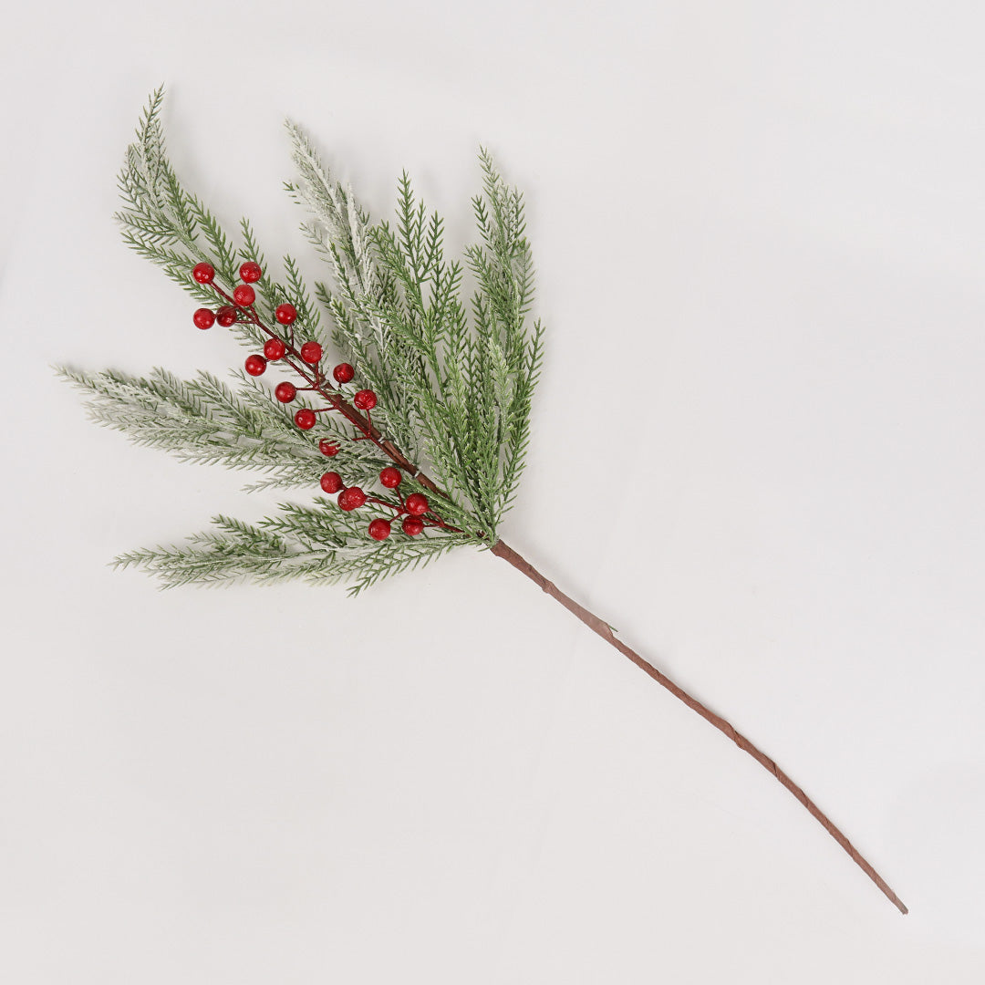 Snow PE Branch - BAF065