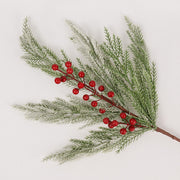 Snow PE Branch - BAF065