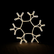 Crystal Snowflake Light