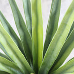 Load image into Gallery viewer, Artificial Plant
