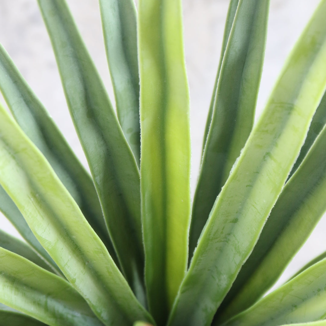 Artificial Plant