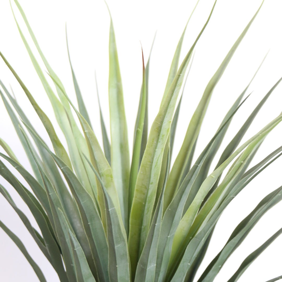 Artificial Plant