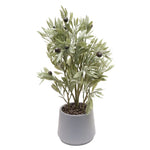 Load image into Gallery viewer, Artificial Olive Plant
