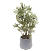 Artificial Potted Olive Plant