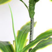 Artificial Dracaena Corn Plant