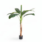 Load image into Gallery viewer, Artificial Tropical Plant
