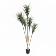Artificial Dracaena Marginata Plant