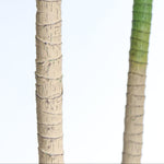 Load image into Gallery viewer, Artificial Plant
