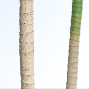 Artificial Dracaena Marginata Plant