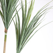Artificial Dracaena Marginata Plant