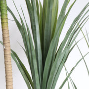 Artificial Dracaena Marginata Plant