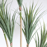 Artificial Dracaena Marginata Plant