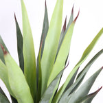 Load image into Gallery viewer, Artificial Plant
