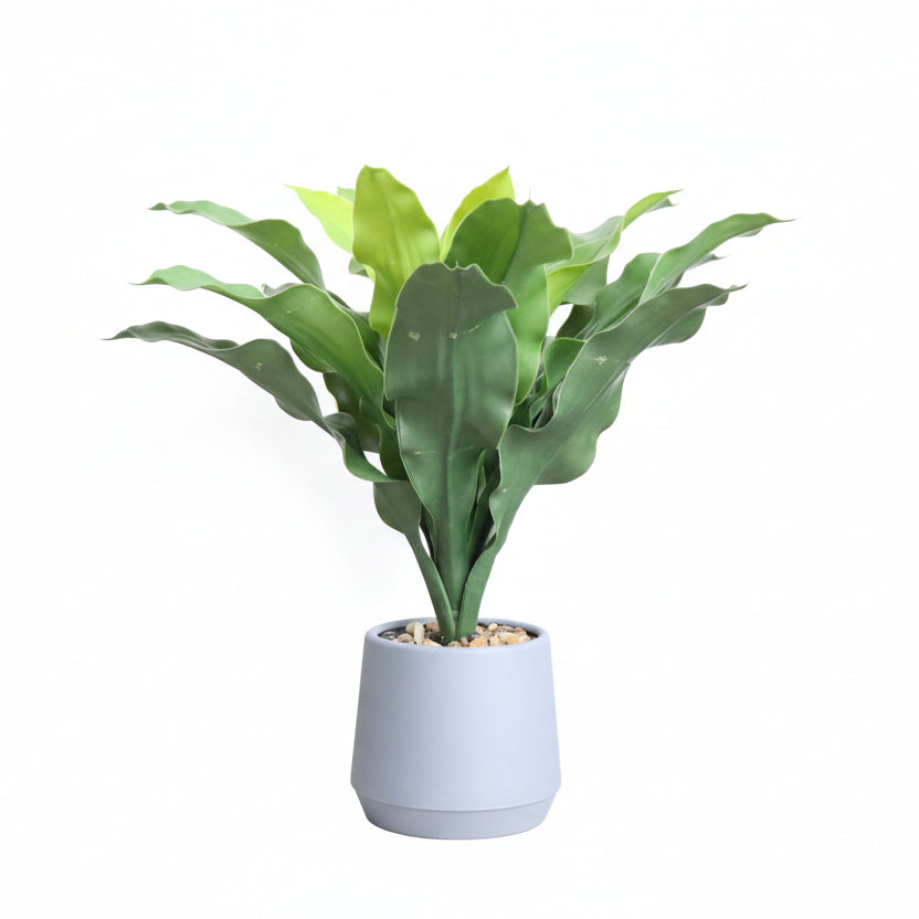Artificial Asplenium Plant