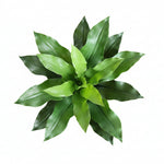 Load image into Gallery viewer, Artificial Asplenium Plant
