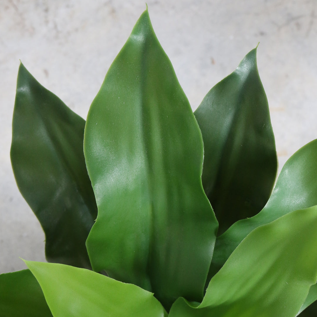 Artificial Asplenium Plant