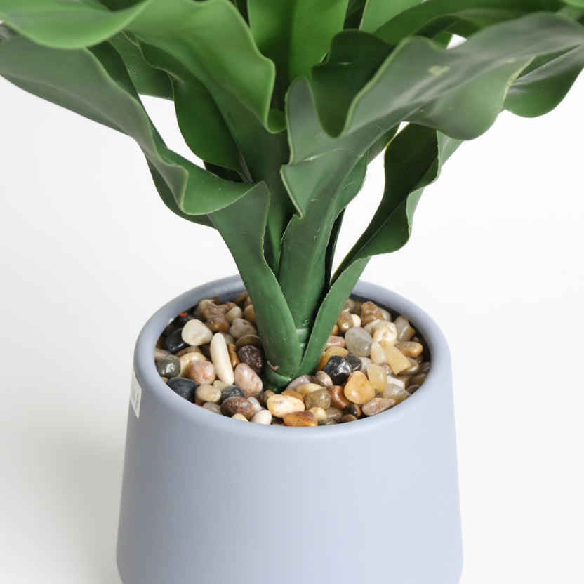 Artificial Asplenium Plant