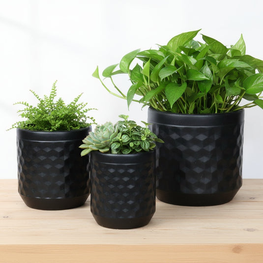 Black Ceramic Plant Holder