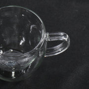 Double wall glass with handle