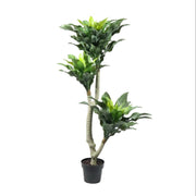 Artificial Dracaena Janet Plant