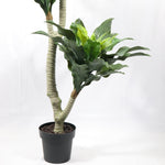 Load image into Gallery viewer, Artificial Plants
