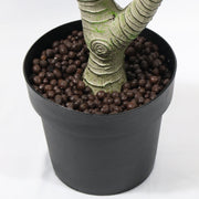 Artificial Dracaena Janet Plant